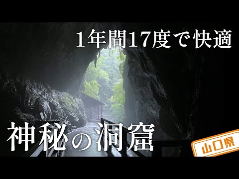 山口県】【天然記念物】1年間17度でいつでも過ごしやすい「秋芳洞