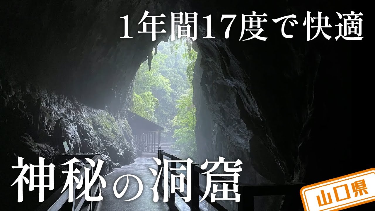 山口県】【天然記念物】1年間17度でいつでも過ごしやすい「秋芳洞