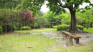 เสียงฝนของธรรมชาติเพื่อปลอบประโลมร่างกายและจิตใจที่เหนื่อยล้าของคุณ - เสียงสีขาวเพื่อลืมความกังวล