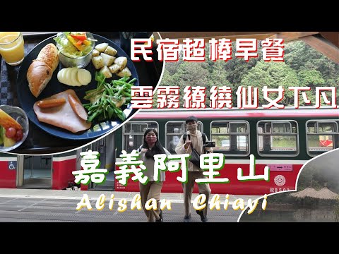 Vlog.5 嘉義阿里山第二天，民宿早餐好吃耶，走進森林當芬多精富翁 | 巧克力牛奶 Chocolate Milk