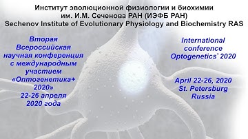 Neuronal encoding of object-type and object-place memories in mouse hippocampus and RSC