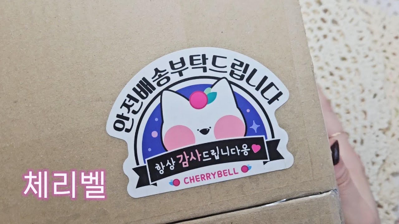 체리벨 하울💕 덤이 다이어리?! ASMRㅣUnboxing Art Suppliesㅣ빈티지다꾸ㅣhaulㅣunboxingㅣjournaling