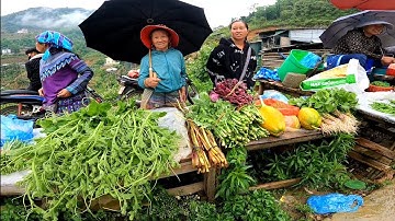 Chợ Phiên Cán Cấu Si Ma Cai | Piglets, Produce & Unique Bird Market in Northwest Vietnam