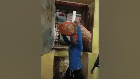 Potato unloading from cold storage...