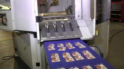 Starview FAB8-1418 Fully Automatic Blister Sealing Machine with Automatic Unload | ProPac.com