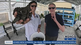 From catfish comes a golden opportunity for Louisiana