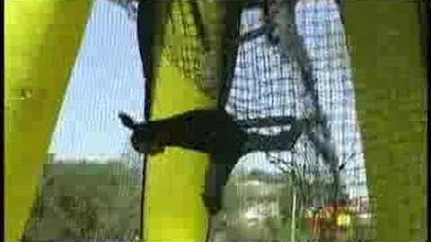 videoproductsample 06