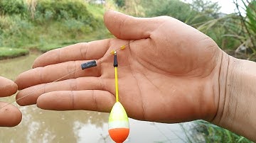 Cách Cân Chỉnh Phao Cần Tay Câu Cá Rô Phi Cá Trê Cá Rô Đồng Đơn Giản Nhất