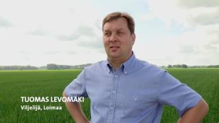 Syökö Viljelijä Kauraa?