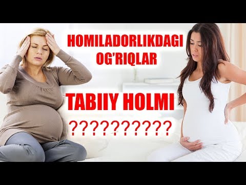 Video: Mushuklarda Og'riqli Qorin