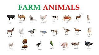 Farm Animals Vocabulary | English vocabulary with picture | Practice English daily