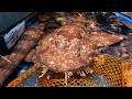 GIANT ALIEN SHARK Japanese Wobbegong Chinese Street Food