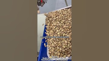 AMD Fava Bean Color Sorter Machine for Broad Bean Sorting
