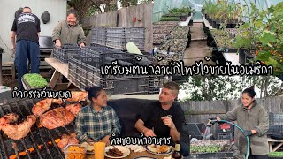EP.187 เตรียมต้นกล้าผักไทยไว้ขายในอเมริกา วันหยุดเราช่วยกันตกแต่งบ้านทำสวน English subtitles !!