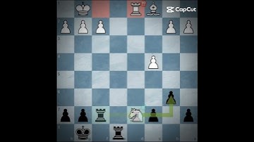 The rook!! #rook #chess #chessgame #brilliant #checkmate