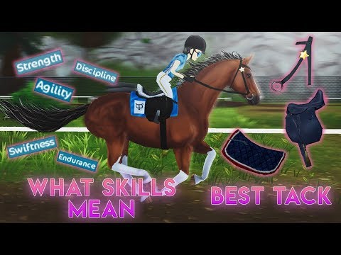 Horse S Speed Guide Skills Meaning Best Tack Star Stable Online Youtube