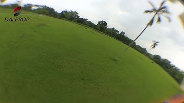 Mushroom 12am Flight: Cyclone there you go