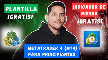 📊 MetaTrader 4 (MT4) para principiantes: Plantilla e Indicador GRATIS 2025