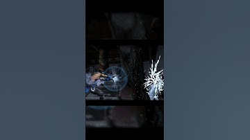 MK11 SUB-ZERO BRUTALITY!! MORTAL KOMBAT MOBILE #gaming #shorts #viral #mk #entertainment