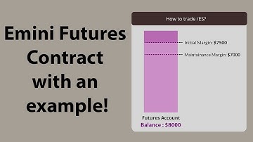 Hedging (Part 2) :  Understand Emini Futures Contract with an example