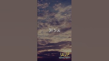 الله يعلم وانتم لا تعلمون #سورة_البقرة #القرآن_الكريم #احمد_العجمي #اكسبلور#راحة_نفسية #لايك #تلاوات