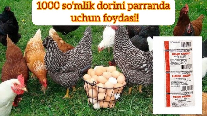 Samburskayaning yalangoch fotosurati Oral seks va oral jinsiy aloqani aks ettiruvchi porno videolar