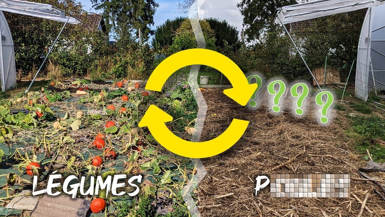 Ni paillage, ni engrais vert… ma technique pour désherber et fertiliser une zone qui se libère