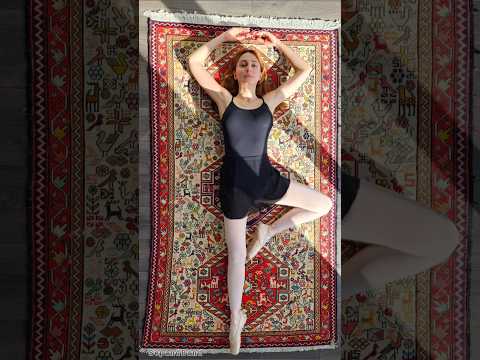 همه چیز از باله شروع شد باله رقص پایه هر آنچه در باله یاد گرفتم تبدیل به ارزشهایی برای زندگیم شد