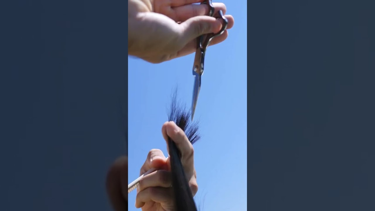 How to cut hair with shears YouTube