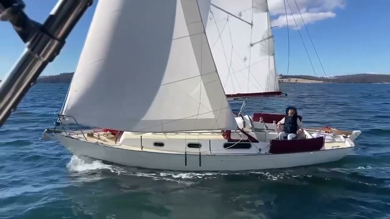 Contessa 26