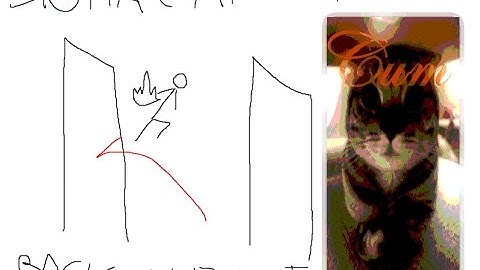 SIGMA CAT  1-basic movement