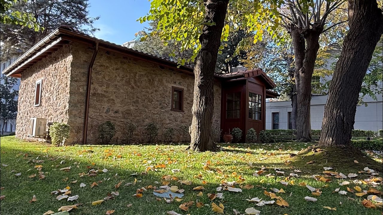 Gönül nuri cemalinden kasidesi - Mustafa Alphayta 