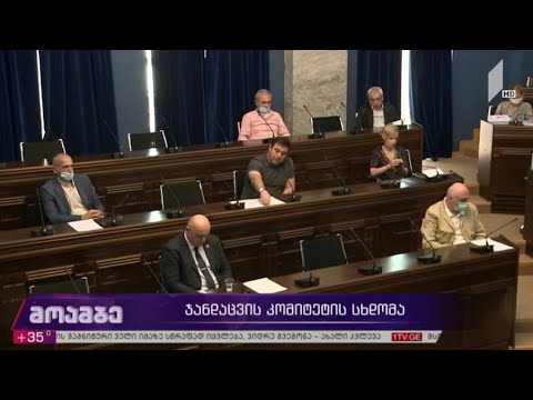 ჯანდაცვის კომიტეტის სხდომა