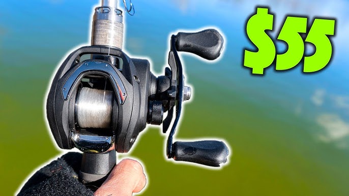 Daiwa's best BUDGET BAITCASTER $50-$100? Reel world test, unboxing &  fishing 