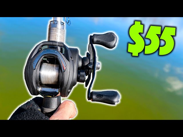 I Picked Up A BUDGET BAITCASTER! Should You Buy It? 