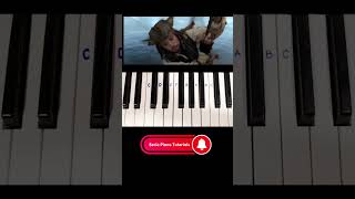 Pirates of the Caribbean BGM piano tutorial#shorts#jacksparrow