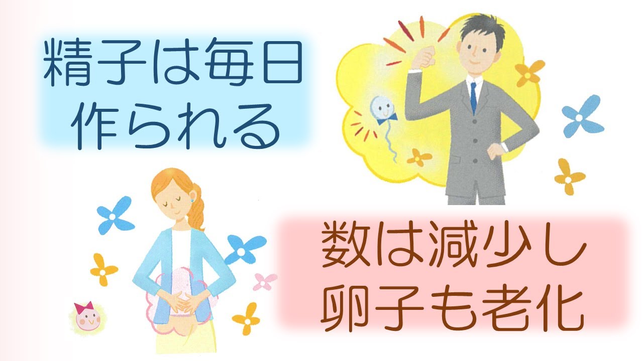 女性と男性の生殖機能の違い - YouTube