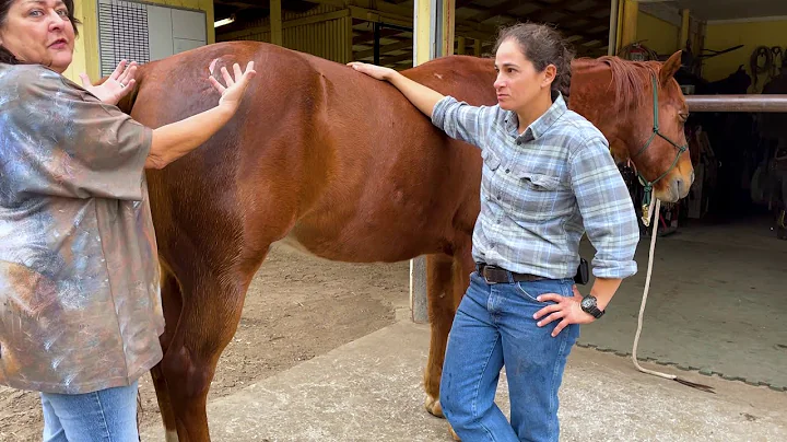 Mayan - Healing at Legacy Farm