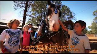 Celebrate Easter with the Centenary Action Day at Griffith Pioneer Park Museum