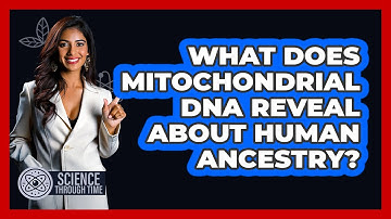 What Does Mitochondrial DNA Reveal About Human Ancestry?