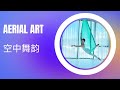 Aerial Art Singapore| 新加坡空中舞韵