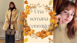 Una semana en mi vida | Recetas, gatitos y trabajo