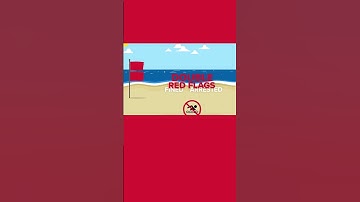 Understanding beach flags: Rip currents, hurricanes and man-of-war jellyfish,