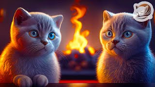 Relaxing Cozy Ambience with Two Purring Scottish Fold Cat and Fireplace Crackling