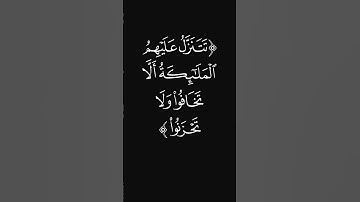 (ثم استقاموا) #قرآن #ليدّبّروا_آياته #راحة_نفسية #شاشه_سوداء #تلاوات #عبدالرحمن_ريس #quran #اكسبلور