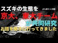 【スズキの生態】京大と東大チームが共同研究!お話聞いてきました【山下教授と対談】