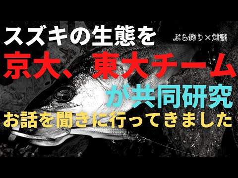 【スズキの生態】京大と東大チームが共同研究！お話聞いてきました【山下教授と対談】