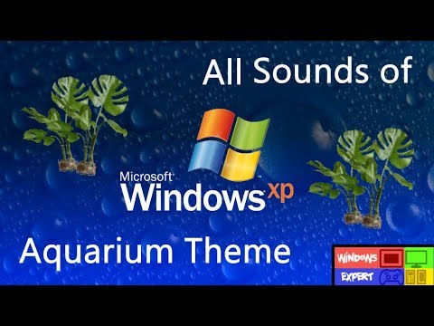 windows xp all sounds windows xp all sounds