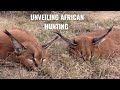 Experience the thrill african hunting unraveled