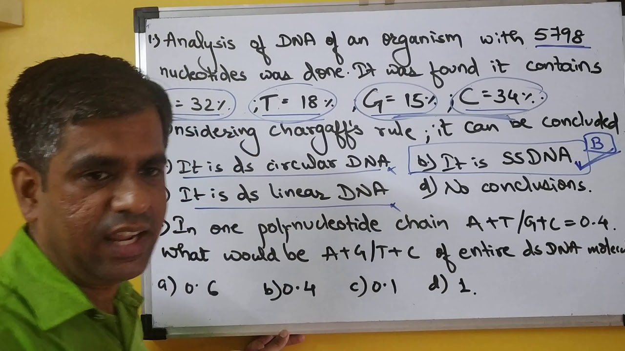 mcq-i-molecular-biology-i-dna-i-chargaffs-rule-youtube